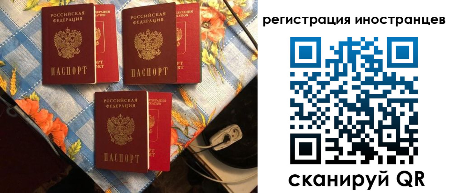 прописка поиск в Белой Калитве